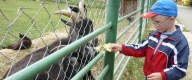 klka Hemerkova 26 - nvteva ZOO